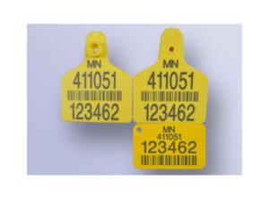 fiber laser marking (5)